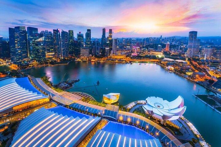 Marina Bay Sands SkyPark Observation Deck Ticket in Singapore