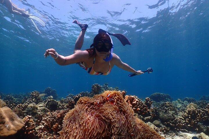 Lazy Similan Snorkeling by Speed Catamaran from Phuket