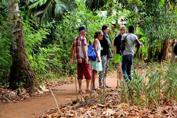 Jozani Forest and Spice Farm Tour in Zanzibar