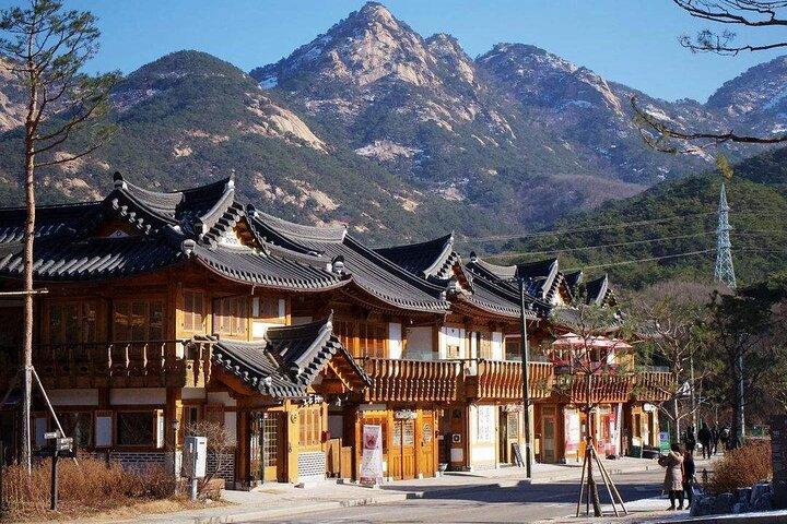 Seoul and Suburbs Private Customized Tour with Expert Driver