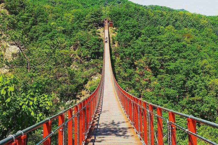 Seoul and Suburbs Private Customized Tour with Expert Driver