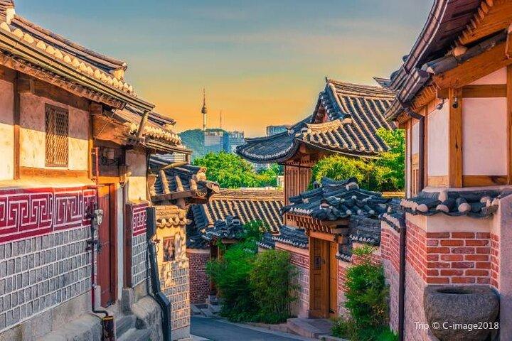 Seoul and Suburbs Private Customized Tour with Expert Driver