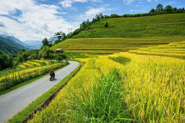 Sapa - Ha Noi: Daily Limousine Bus