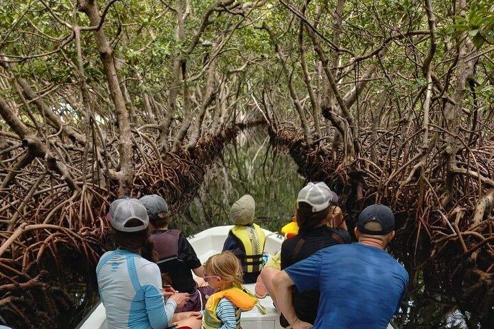 Roatan East Side Mangrove Tunnels and Snorkel Adventure