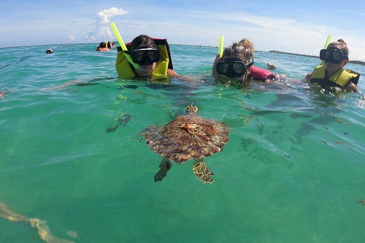 Private Tour Swim with Turtles, 2 Cenotes & Gopro