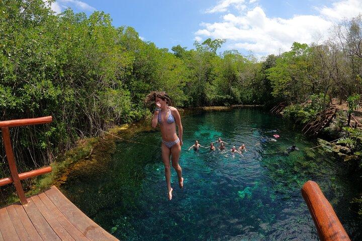 Private Tour Swim with Turtles, 2 Cenotes & Gopro