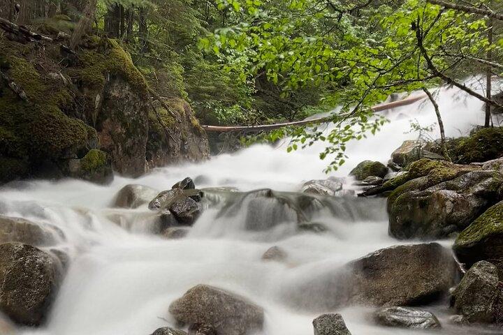 Skagway Waterfall Tour
