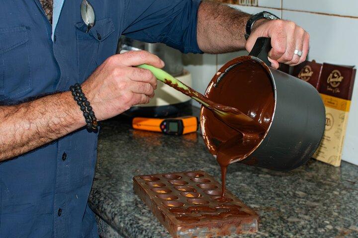 Full Day Churute Howler Monkeys and Chocolate Tour