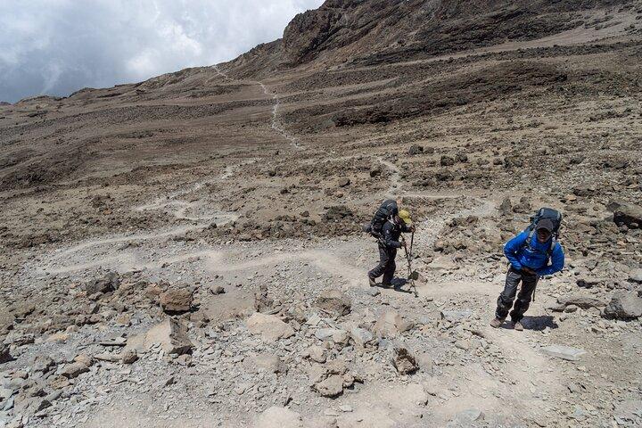 Machame Stunning Views Climb Kilimanjaro for 7 Days