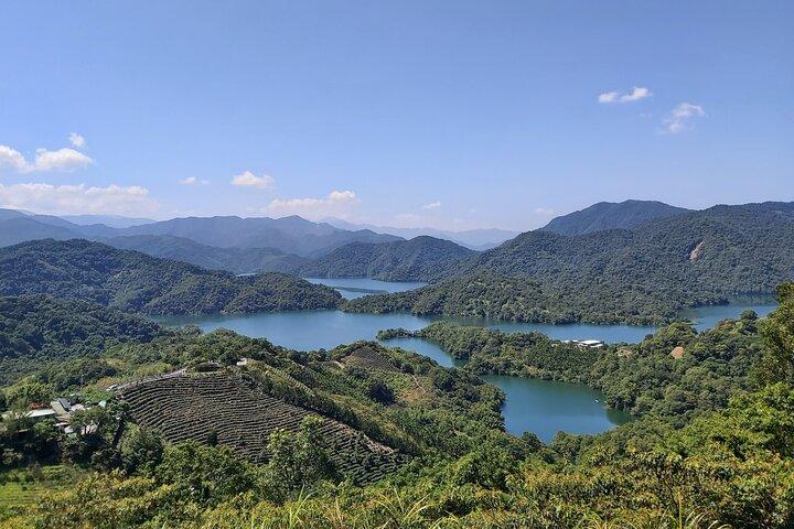 Pinglin Tea Culture & Maokong Day Tour from Taipei