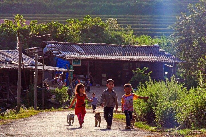Sapa Trekking Adventure: Explore Rice Terraces, Ethnic Villages