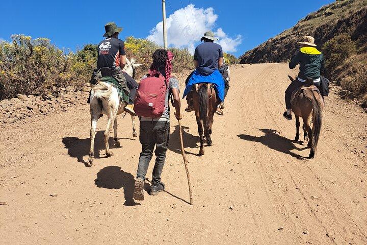 5-Day Northern Ethiopia Tour : 3D Simien Mountains Trek & Axum.