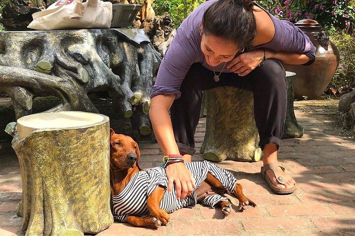 2-Day Adventure CatBa National Park, Viet Hai Village, Lan Ha Bay