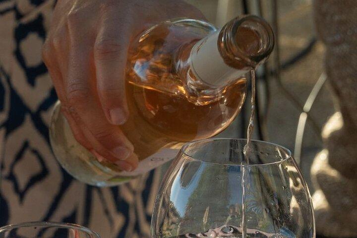 Shared Tour - Wine tour from Saint Tropez