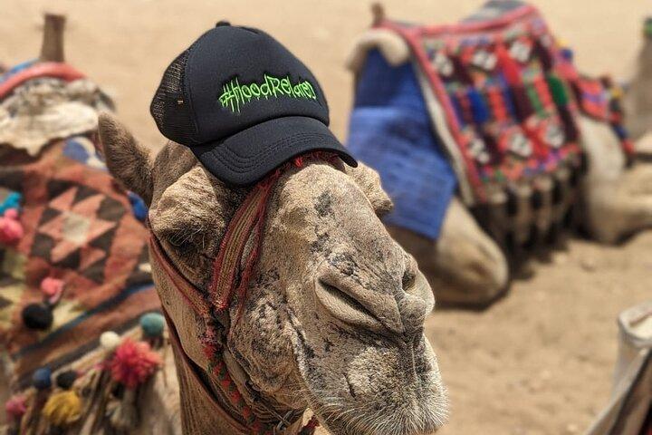 Quad Bike and Camel ride At Desert of Giza Pyramids