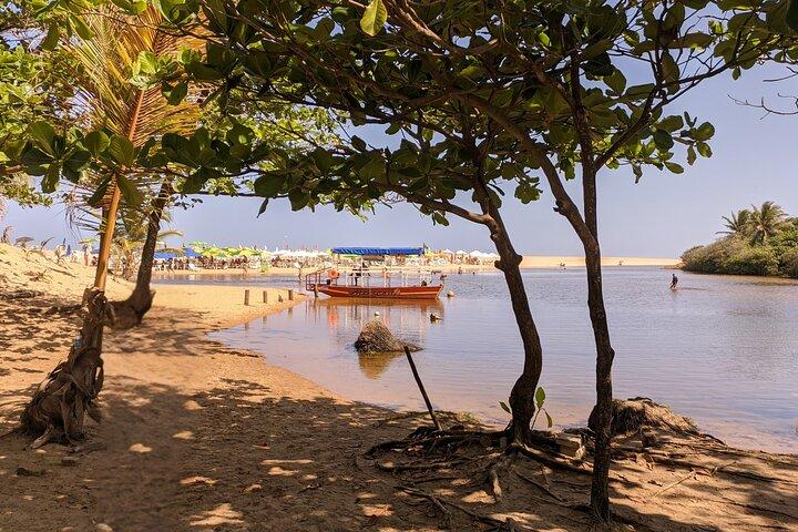 Tour in Itacimirim and Imbassaí - The Wonders of the Coast