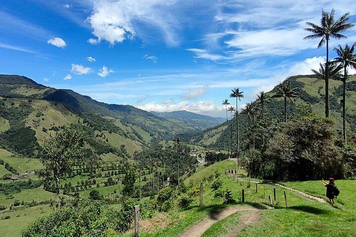 Cocora Valley Shared Tour
