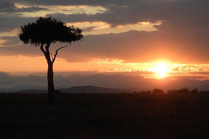 4 Days Lake Nakuru and Masai Mara Safari