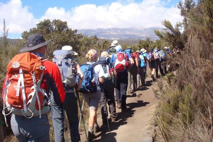 5 Days Classic Kilimanjaro Climb via Marangu route