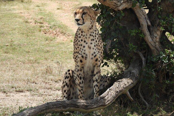 2 Days Kenya Safari Adventure Tour