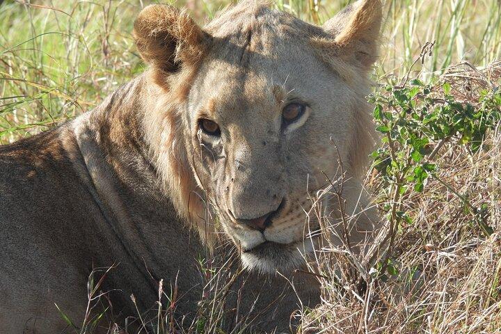 2 Days Kenya Safari Adventure Tour