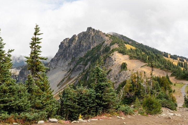 Self Guided Driving Audio Tour of Mount Rainier National Park