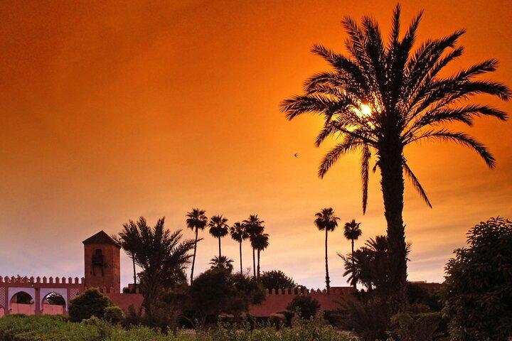 Sunset Camel Ride Marrakech Palmeraie