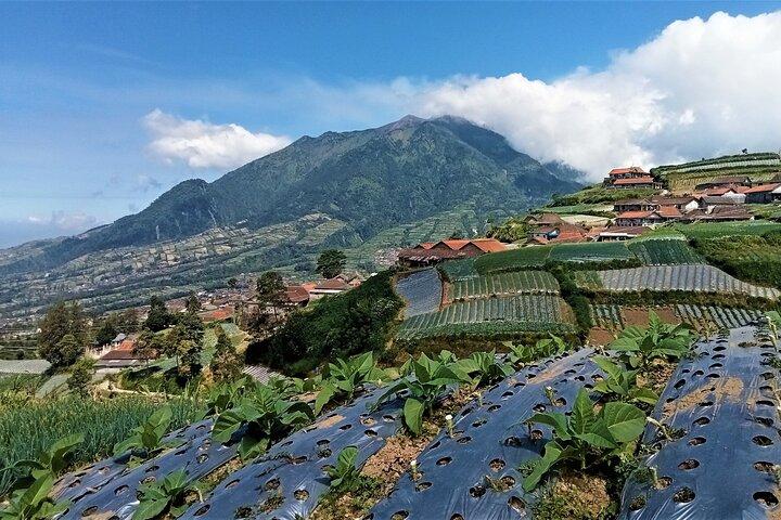 Mount Merbabu One Day Hiking Tour From Yogyakarta