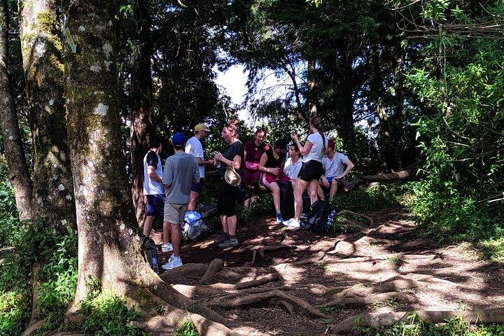 Mount Merbabu One Day Hiking Tour From Yogyakarta