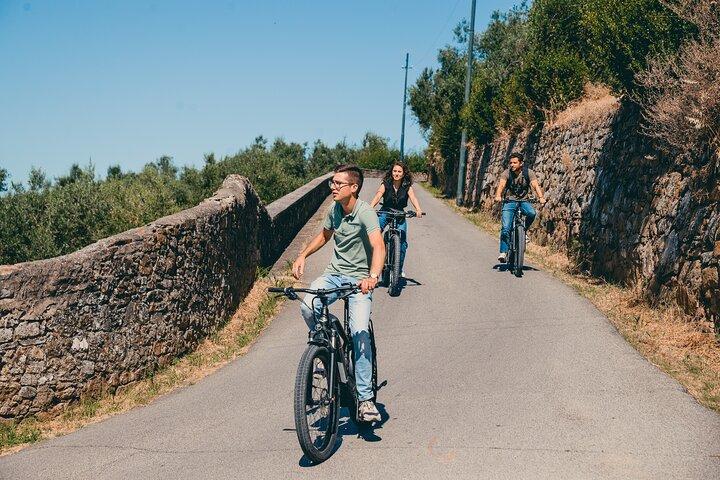 Private Electric Bike 2 hours Tour of Florence Hills with Gelato Tasting