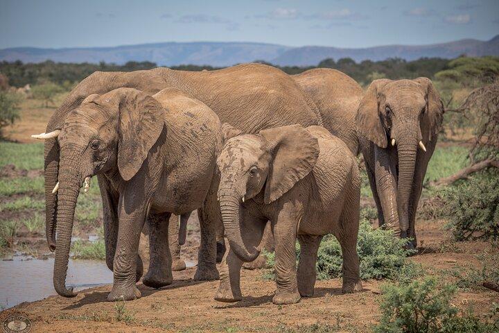 3 Day Safari Tour Package from Durban