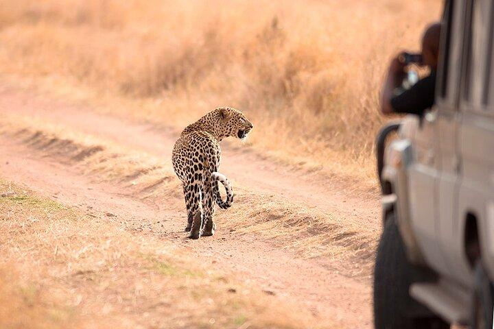 12 Days of Zanzibar and Tanzania Combining Paradise and Nature