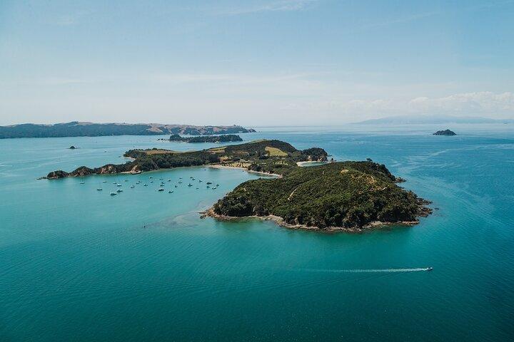 Rotoroa Island Day Trip & Ferry - from Auckland