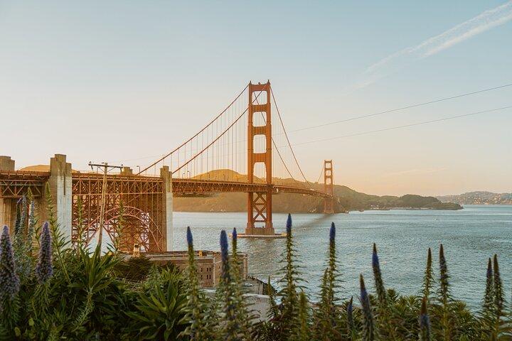 San Francisco Airport Transfer to SFO City (Special Offer)