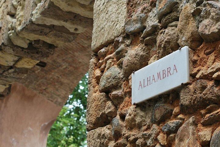 Guided Tour of the Alhambra Surroundings