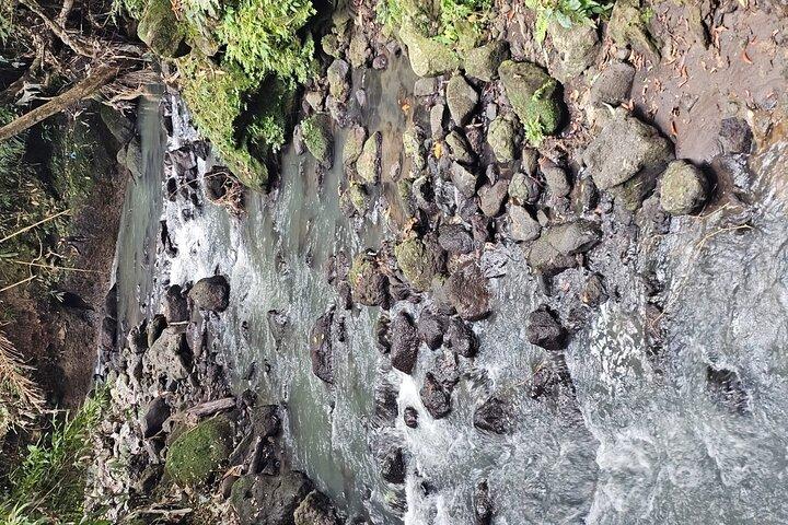 Bali Jungle and Local Adventure in Tabanan, Bali