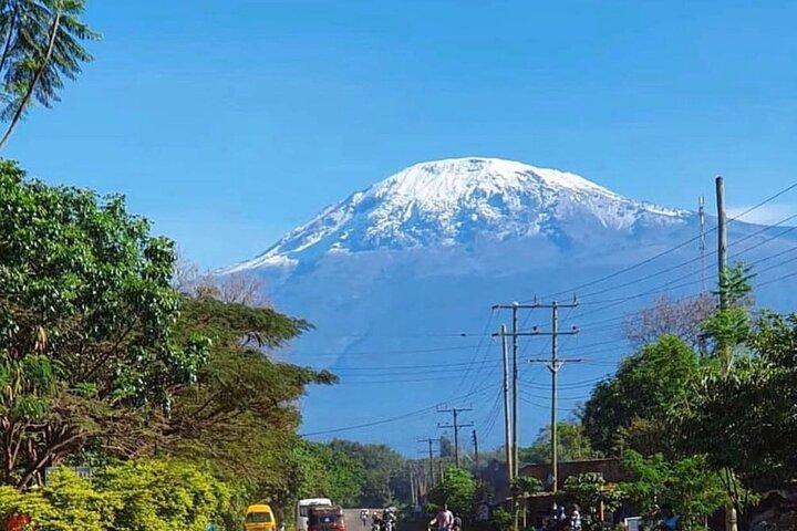 Mount Kilimanjaro Day Hike Up to Mandara Hut