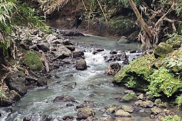 Bali Jungle and Local Adventure in Tabanan, Bali