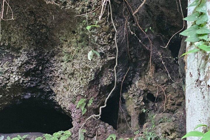 Bali Jungle and Local Adventure in Tabanan, Bali