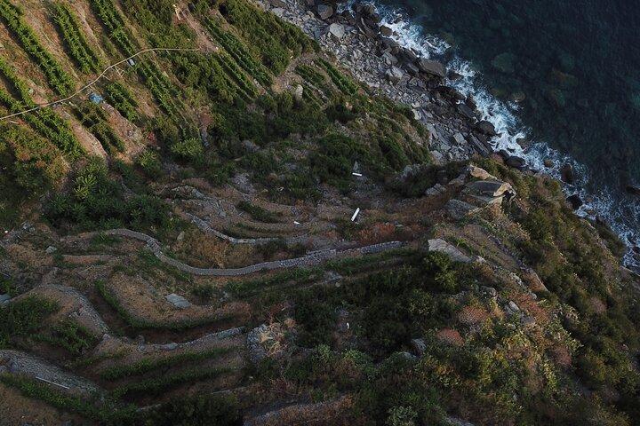 Cinque Terre Private Wine And Views Tour
