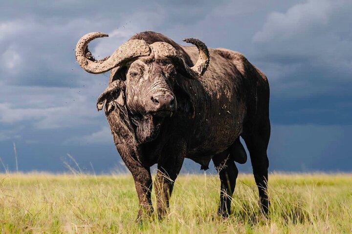 2 Days Tarangire and Ngorongoro Crater