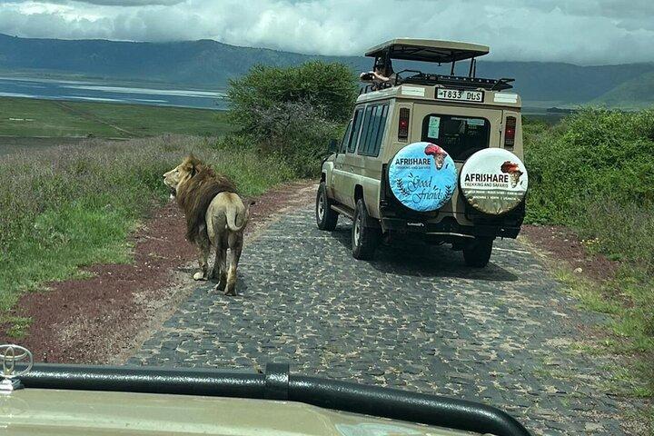 2 Days Tarangire and Ngorongoro Crater