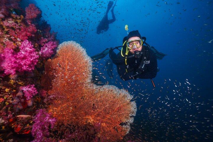 Scuba Liveaboard 2 Days 1 Night Dive Trip from Khao Lak