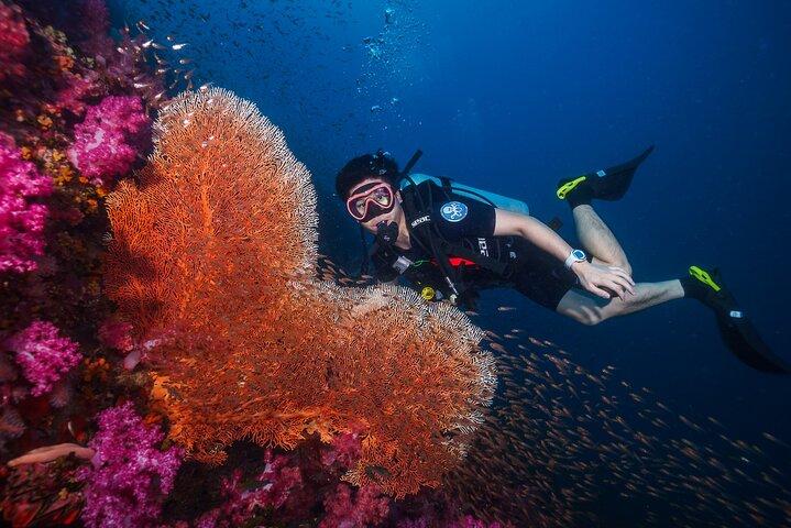 Scuba Liveaboard 2 Days 1 Night Dive Trip from Khao Lak