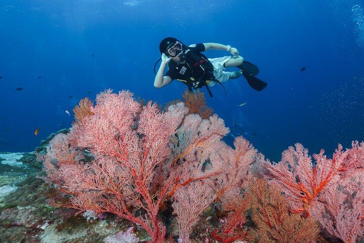 Scuba Liveaboard 2 Days 1 Night Dive Trip from Khao Lak