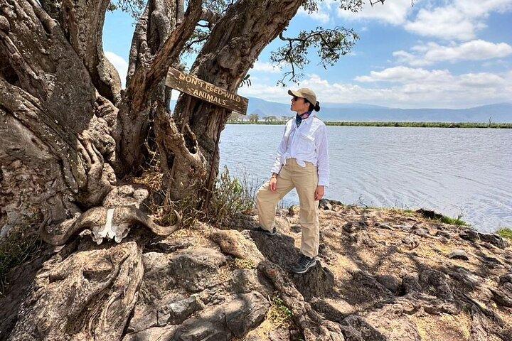 Private Day Journey Through The Heart Of Ngorongoro Crater