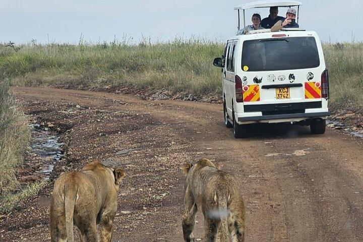 Amboseli Day Trip with Pickup