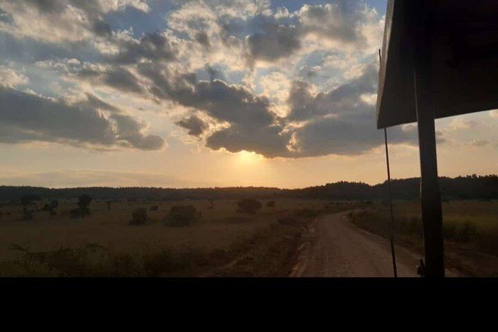 Amboseli Day Trip with Pickup