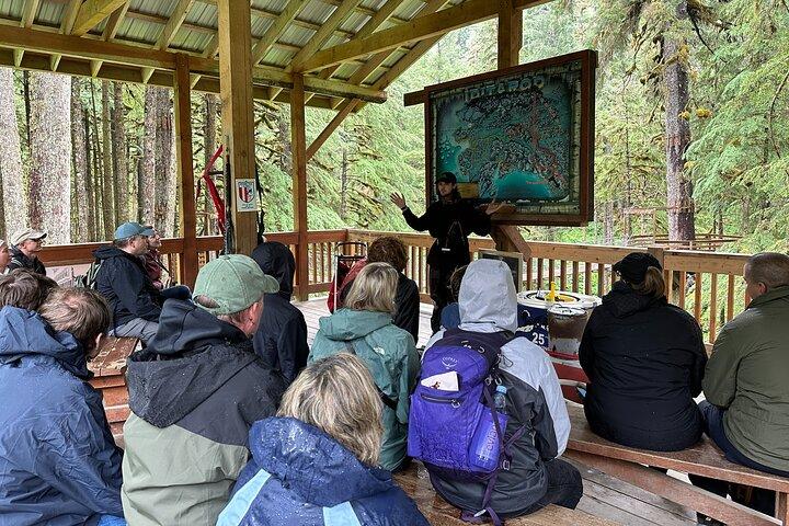 Musher's Camp® & Sled Dog Discovery in Juneau Alaska