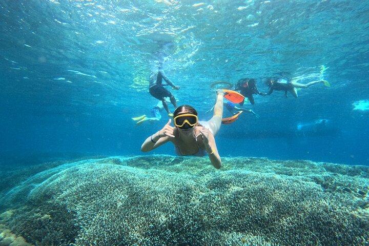 From Bali: Nusa Penida Full Day Tour and Snorkeling